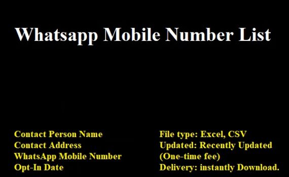 Whatsapp Number List