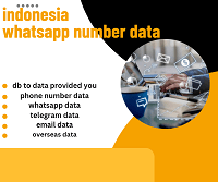 indonesia whatsapp number data